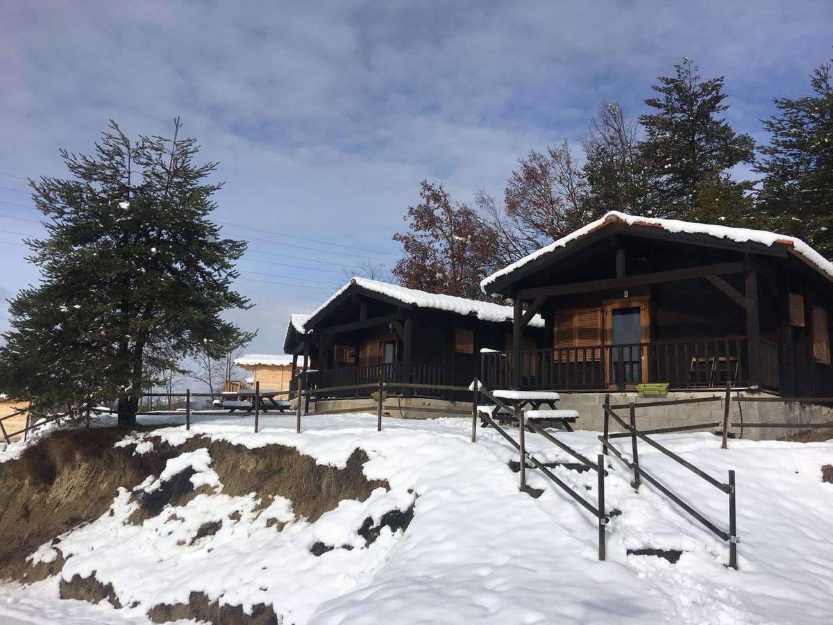 Camping Ripolles Exteriér fotografie